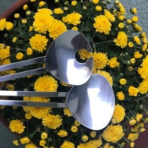 CARLO GIANNINI Serving spoons MADE IN ITALY